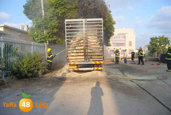 fire truck 804 (11).JPG